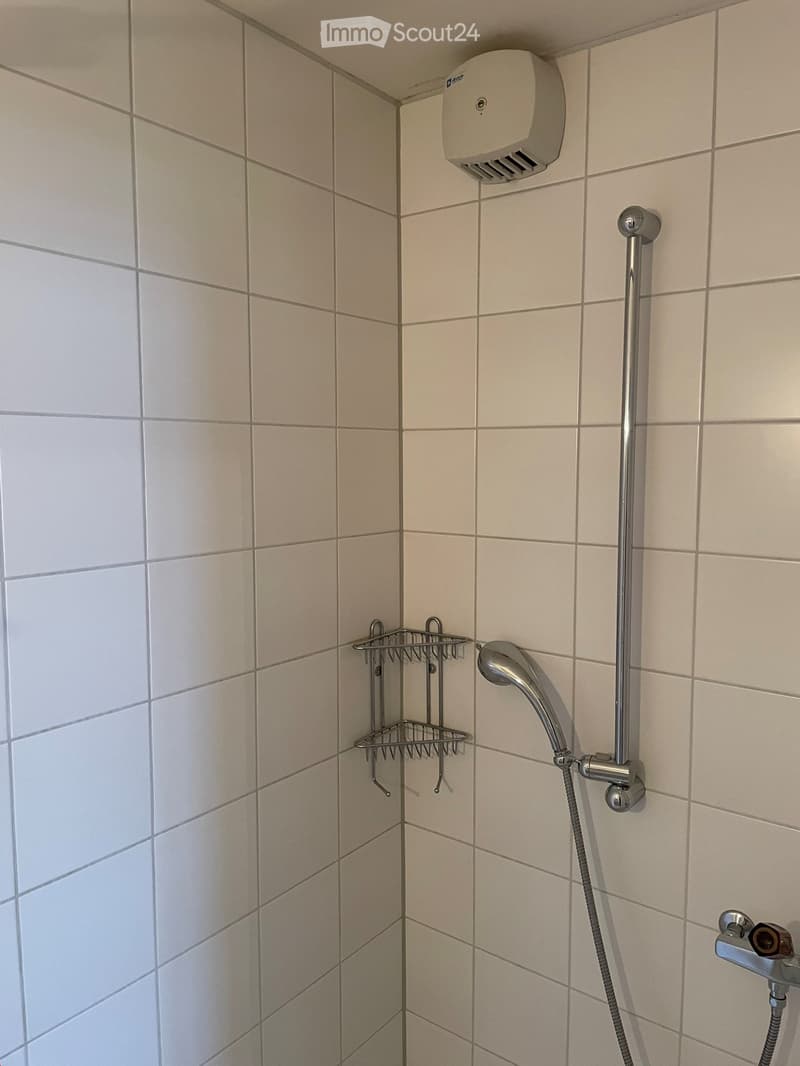 Shower area with tiled walls, a handheld showerhead, a wall-mounted shower rack, and an air freshener unit.
