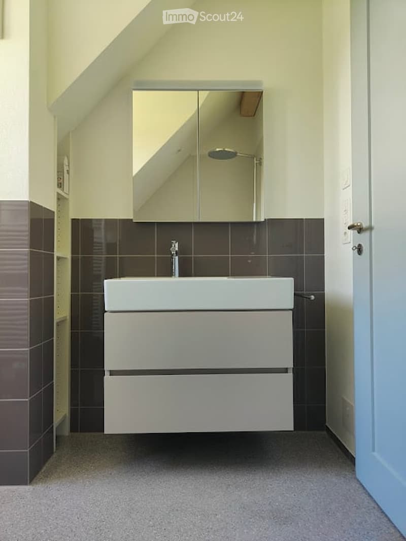Modern bathroom with a white sink, mirrored cabinet, and dark tiled walls.