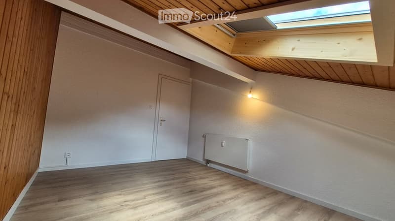 Empty attic room with wooden floor, white walls, skylight, and a radiator.