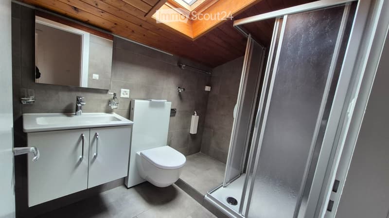 Modern bathroom with a white sink, toilet, and a glass-enclosed shower. Features a wooden ceiling with skylight, grey tiles, and a mirrored cabinet.