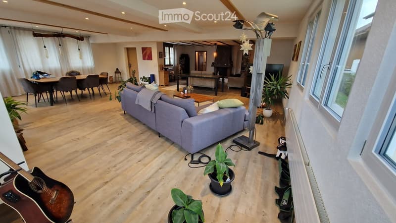 living room with wooden floor, gray sofa, dining table, potted plants, guitar, radiator, large windows