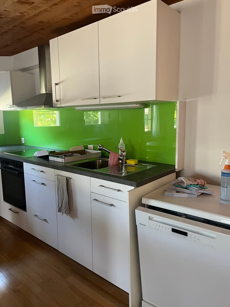 Modern kitchen with white cabinets, green backsplash, stainless steel sink, and dishwasher. Countertop has a towel, cleaning supplies, and a small tray.