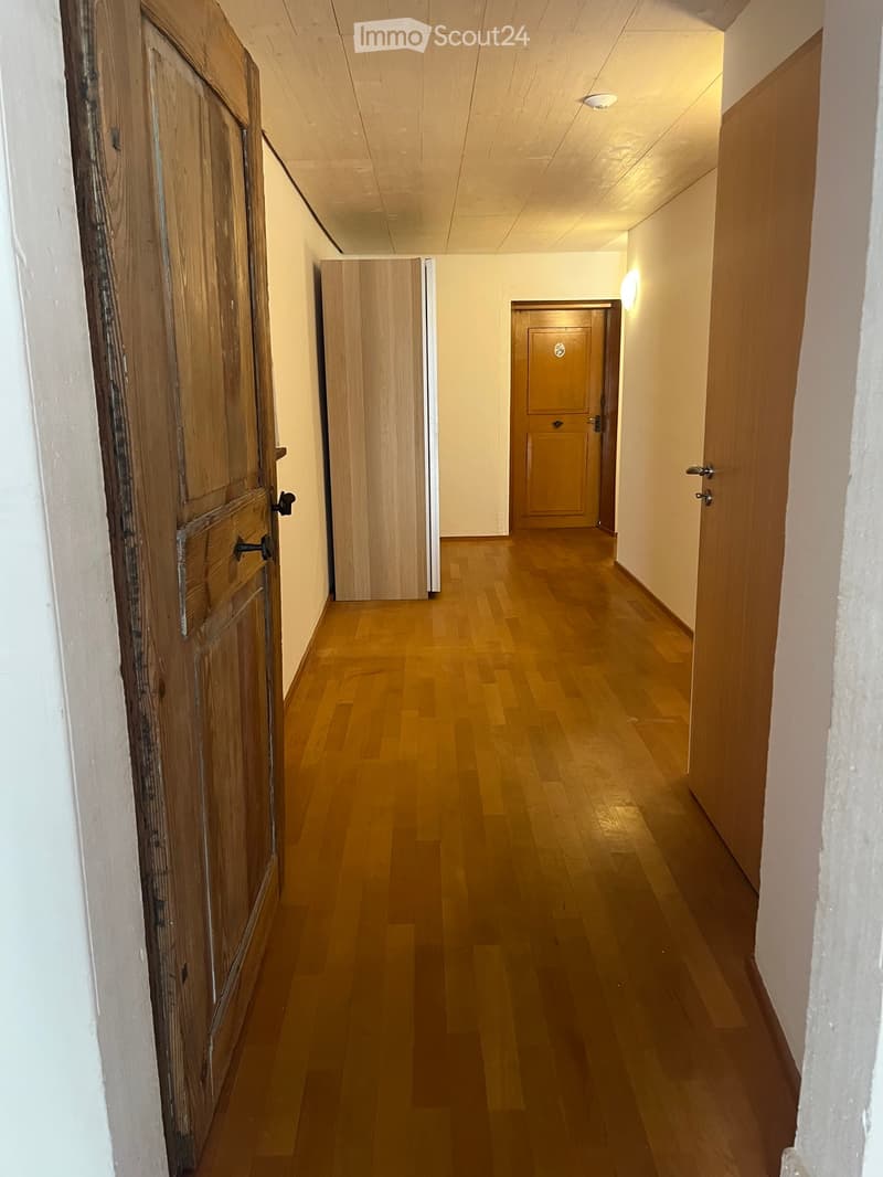 A narrow hallway with wooden flooring and light-colored walls, featuring several wooden doors and a ceiling light fixture.
