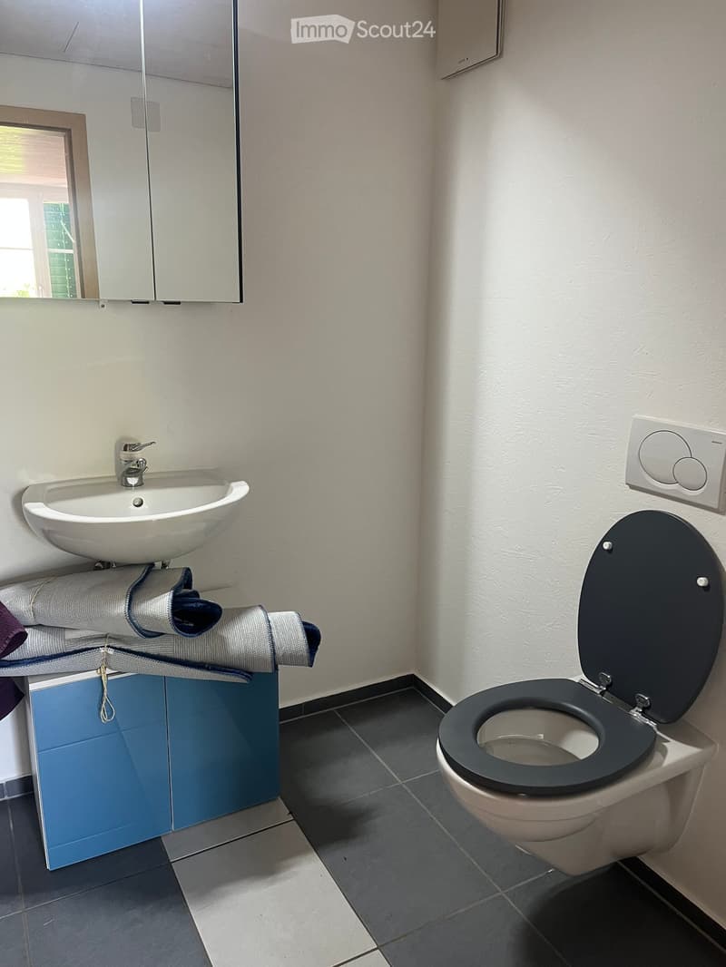 Modern bathroom with a white sink, toilet, and mirrored cabinet. Blue cabinetry and tiled floor.