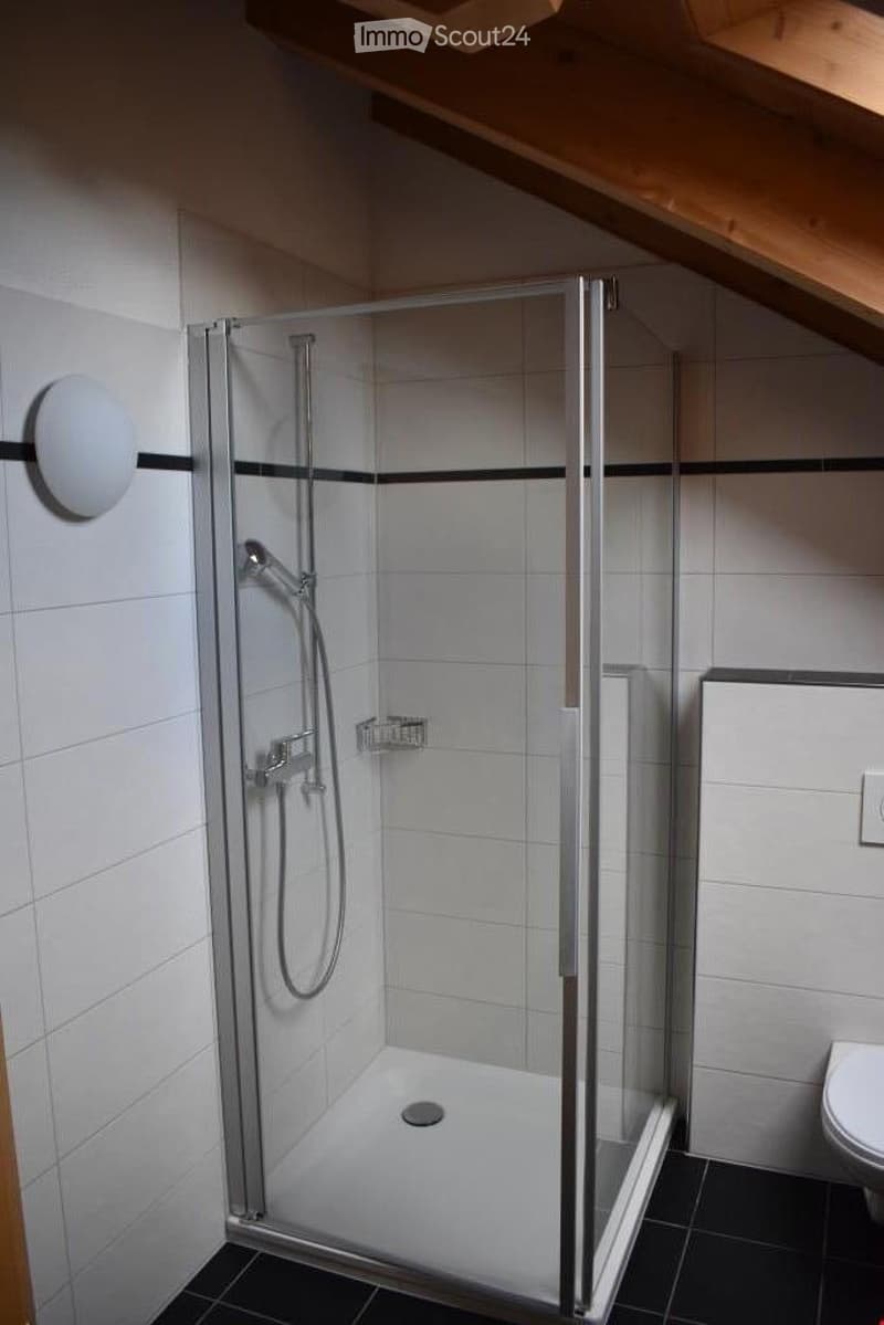 Bathroom with shower, white tiles, wooden ceiling, toilet