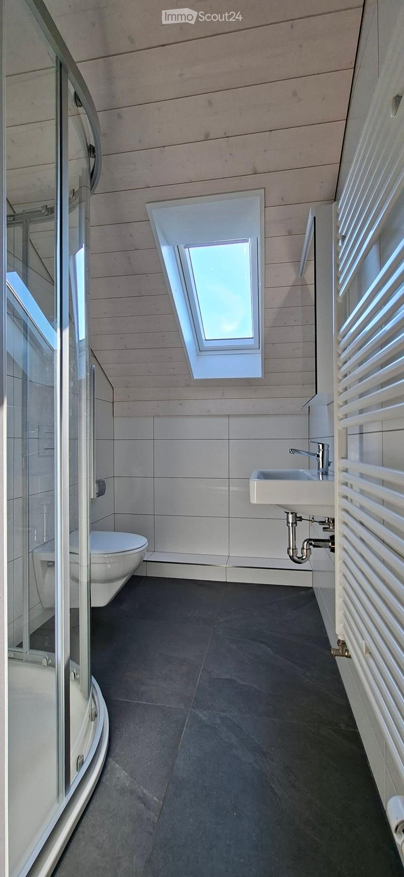 Modern bathroom with dark tiled floor, white sink, toilet, and radiator. Features a skylight window above the sink and a glass-enclosed shower area.