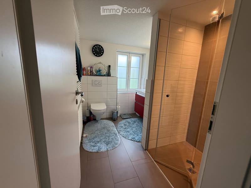 Modern bathroom with white tiles, a toilet, a sink with red cabinetry, a glass-enclosed shower, and two round rugs.