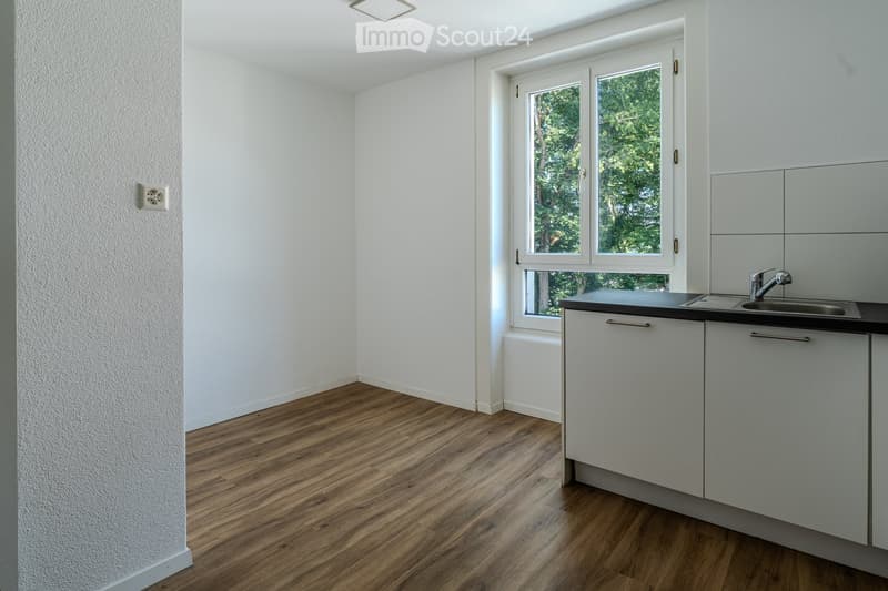 Empty kitchen with white walls, wooden flooring, and a window overlooking greenery. Basic cabinetry and sink are present but no appliances or furniture.