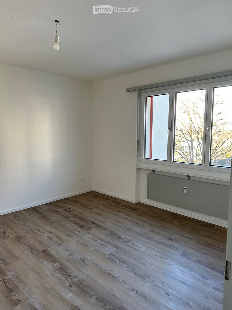Empty room with wooden flooring, white walls, large window with grey frame, radiator, and a single light fixture on the ceiling.