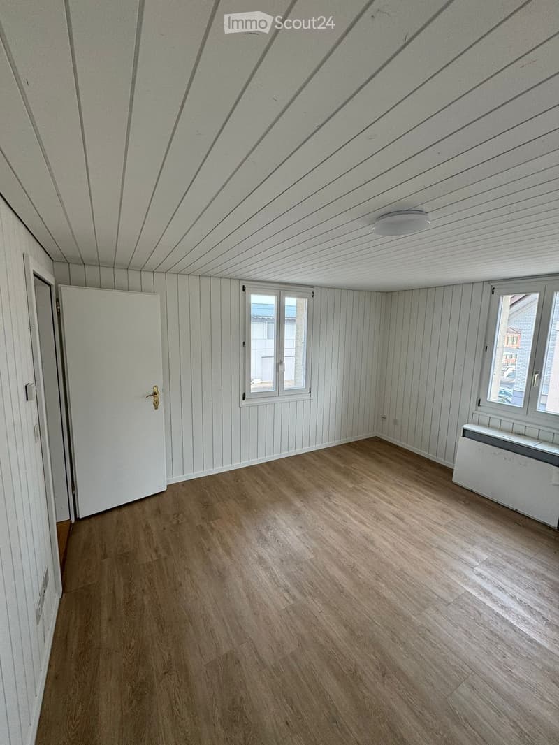 empty room with white walls and wooden floor, two windows, white door, and a ceiling lamp