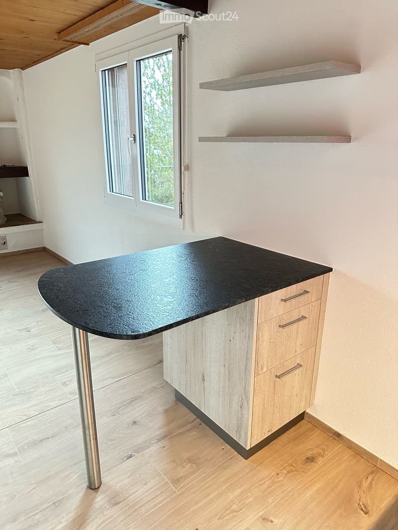Studio, renovated in 2022 (3)