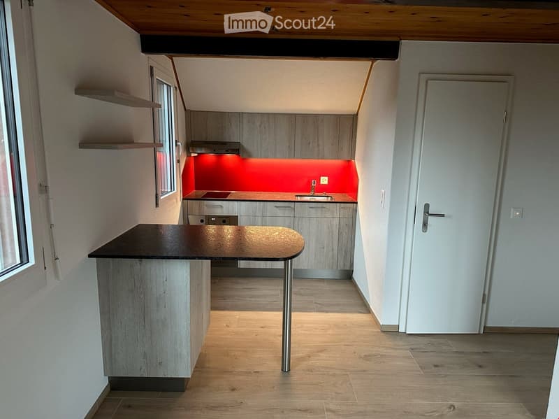 Studio, renovated in 2022 (1)