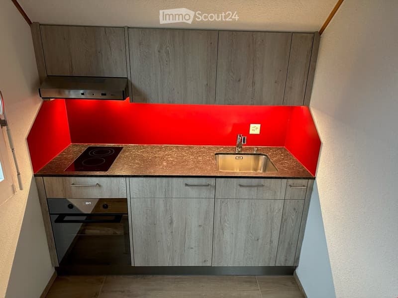 Studio, renovated in 2022 (2)