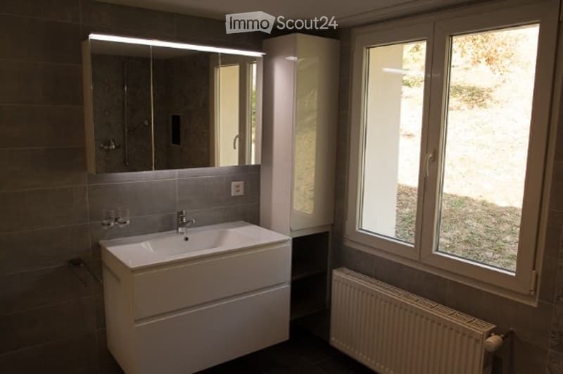 Modern bathroom with a white sink, large mirror, and radiator. The room features tiled walls and a window with a view of greenery outside.