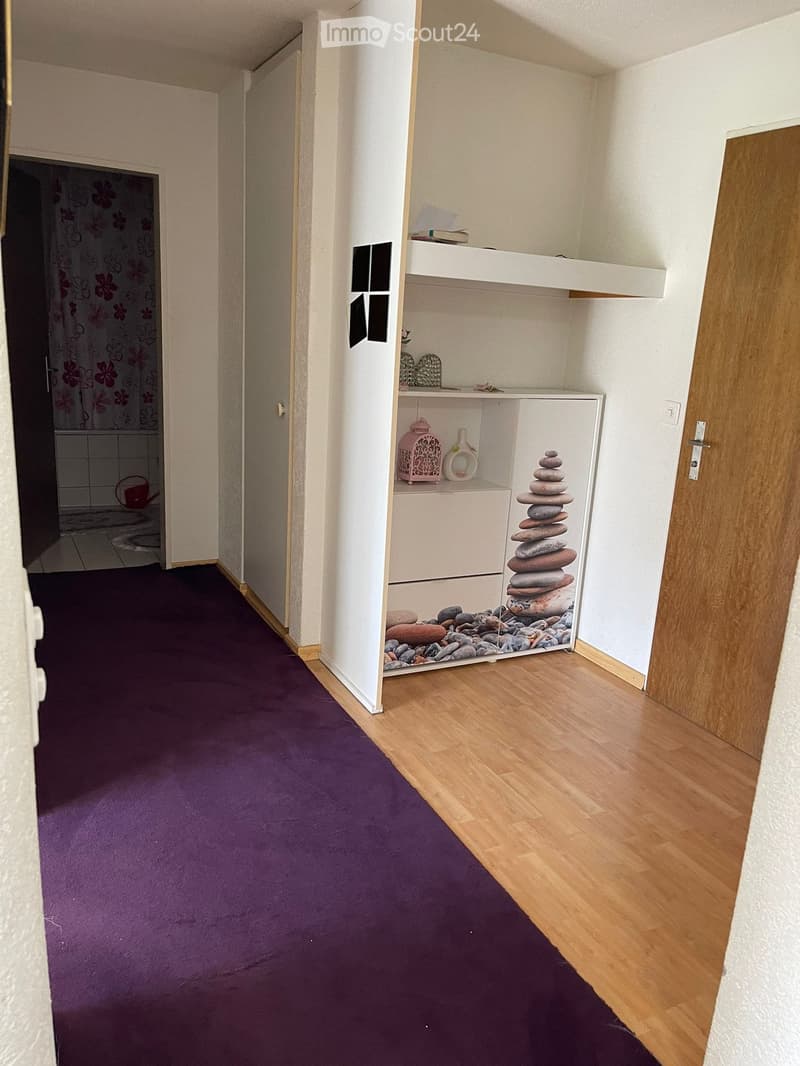 Hallway with purple carpet on one side and wooden flooring on the other, featuring a built-in shelf with decorative items and a stack of stones.