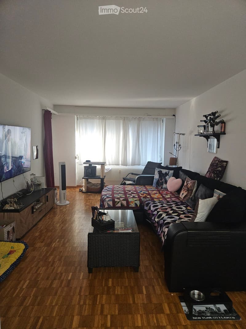 Living room with wooden flooring, a sectional sofa with colorful quilted throw, coffee table, TV, fan, cat tree, and shelves with decorative items.