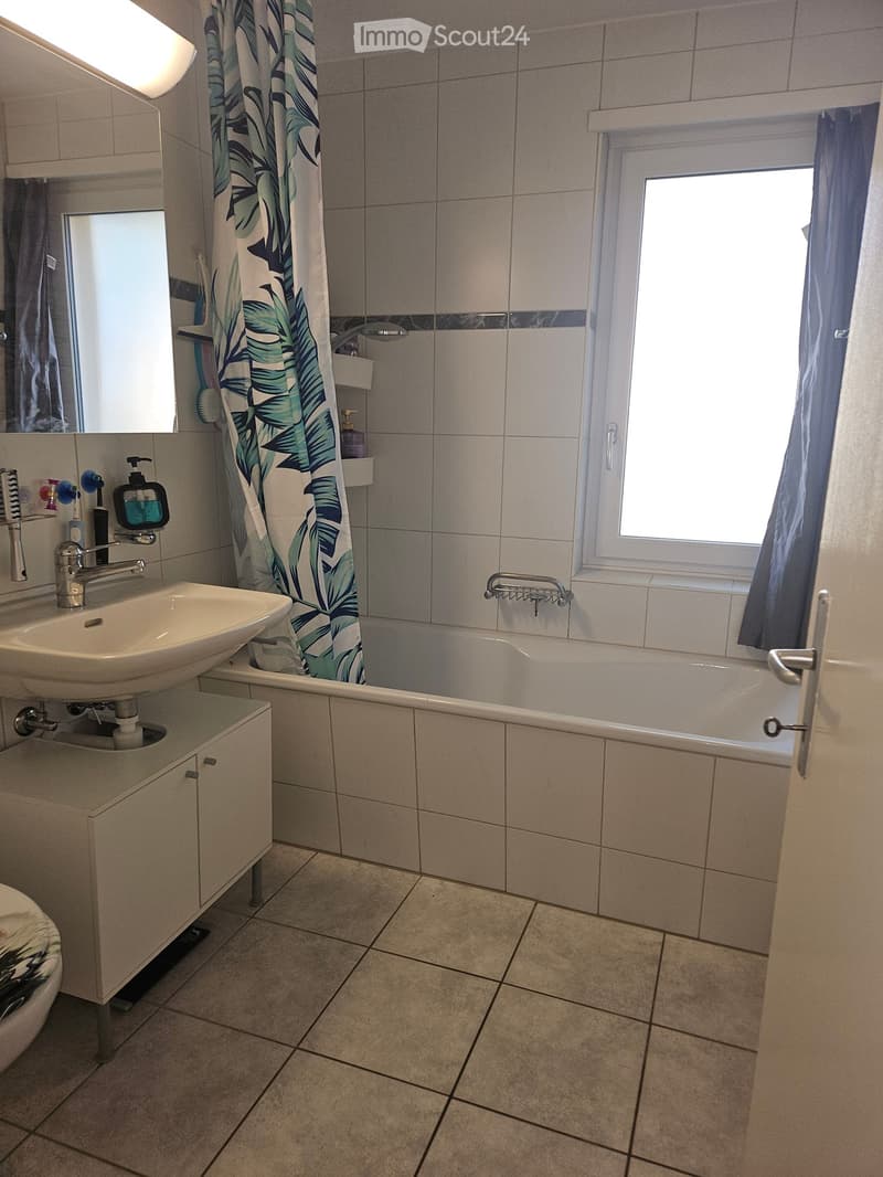 Bathroom with a sink, bathtub, mirror, and window. Includes a shower curtain, cabinet, and various toiletries.