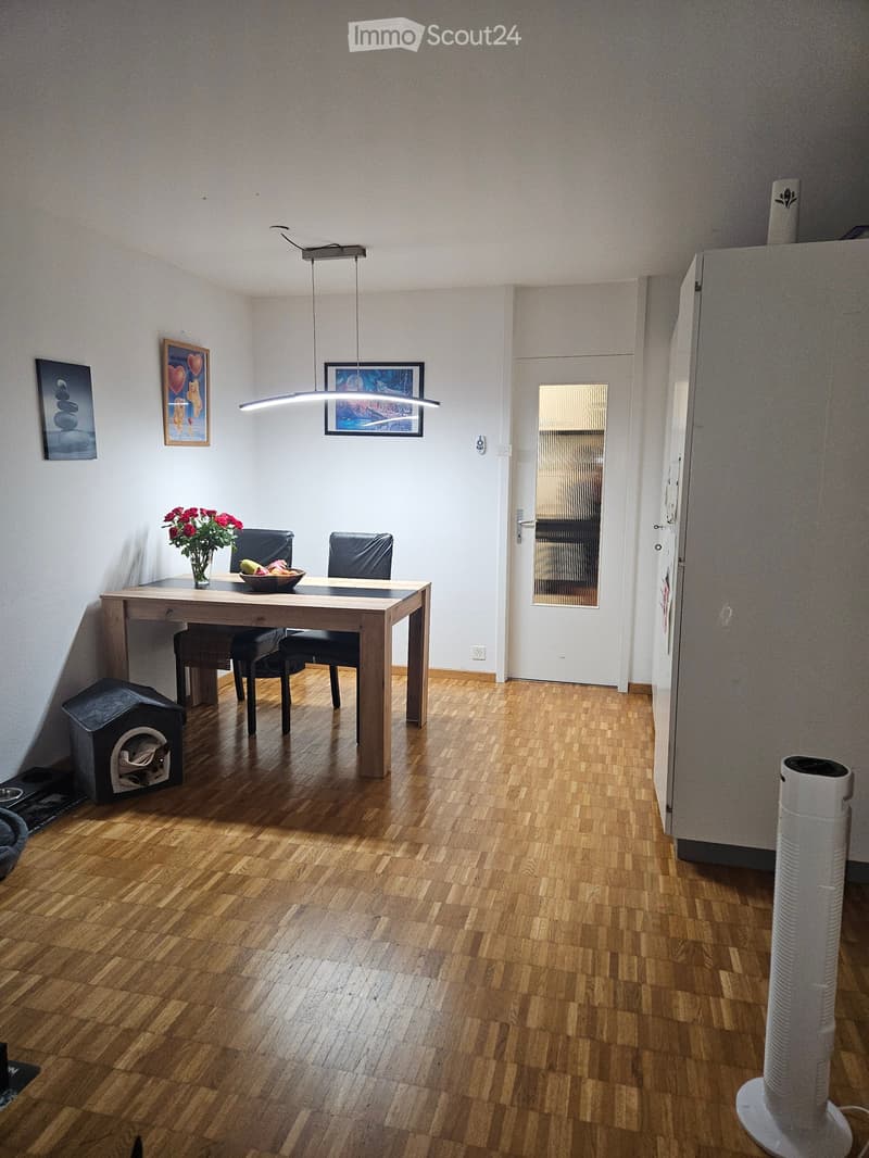 Dining area with wooden floor, modern pendant light, dining table with chairs, vase with flowers, bowl of fruit, cat house, and fan.