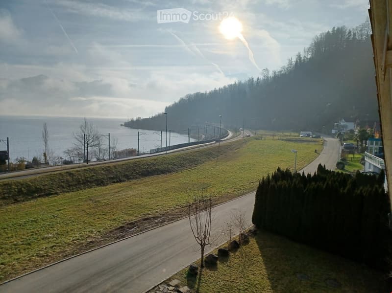 View from a balcony or terrace showing a road, grassy area, trees, and a body of water in the distance with mountains under a partly cloudy sky.