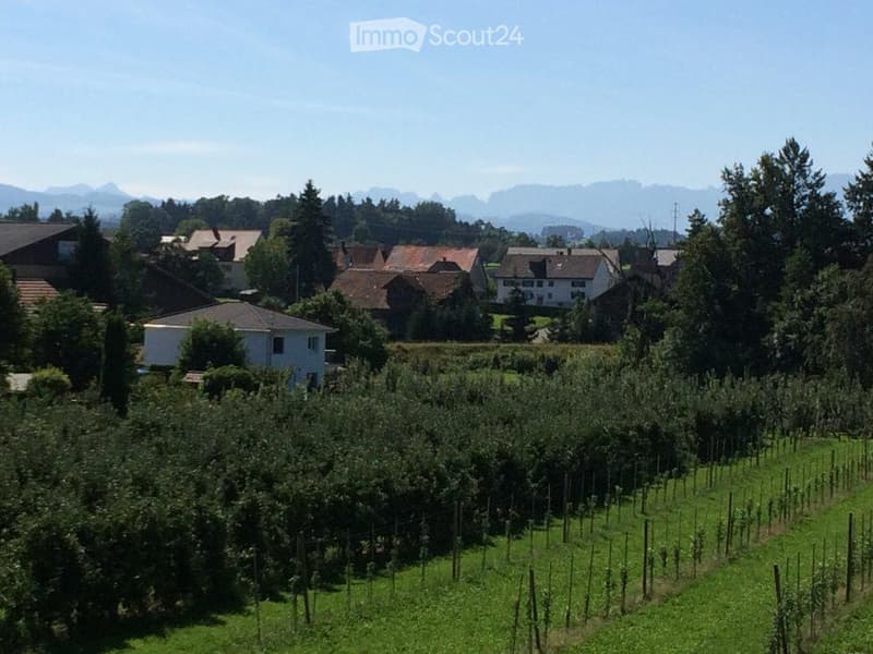 A panoramic view of a rural landscape with a vineyard in the foreground and several houses scattered across the background, surrounded by trees and mountains under a clear blue sky.