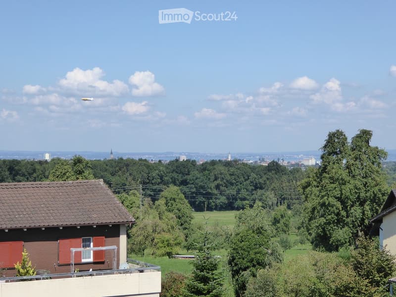 A small wooden house with a tiled roof and red shutters, surrounded by trees and a grassy field, with a distant cityscape visible in the background.