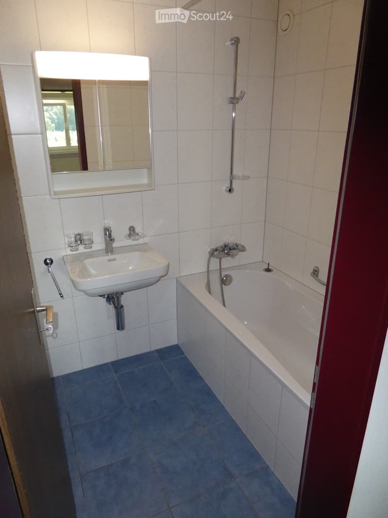 Modern bathroom with white tiled walls, blue tiled floor, a white sink with a mirror above it, and a bathtub with a handheld showerhead.
