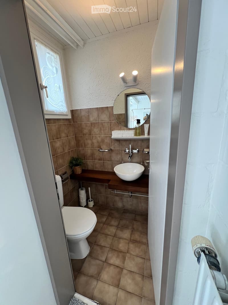 Modern bathroom with beige tiles, a toilet, a sink with a wooden shelf, a mirror, and a small plant on the shelf.