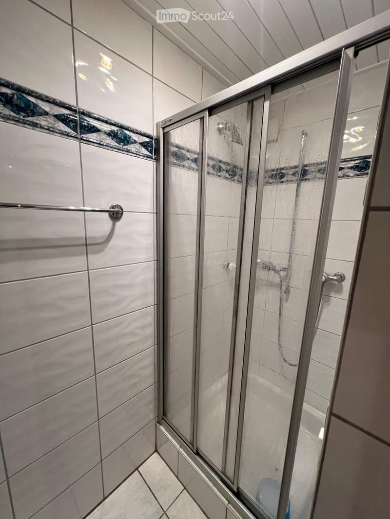 Modern bathroom with a glass-enclosed shower stall, tiled walls, and a towel rack.