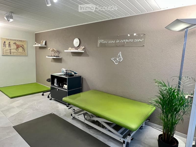 A clean, modern room with a green treatment table, a black cabinet with drawers, shelves with decorative items, a potted plant, and a framed picture on the wall.