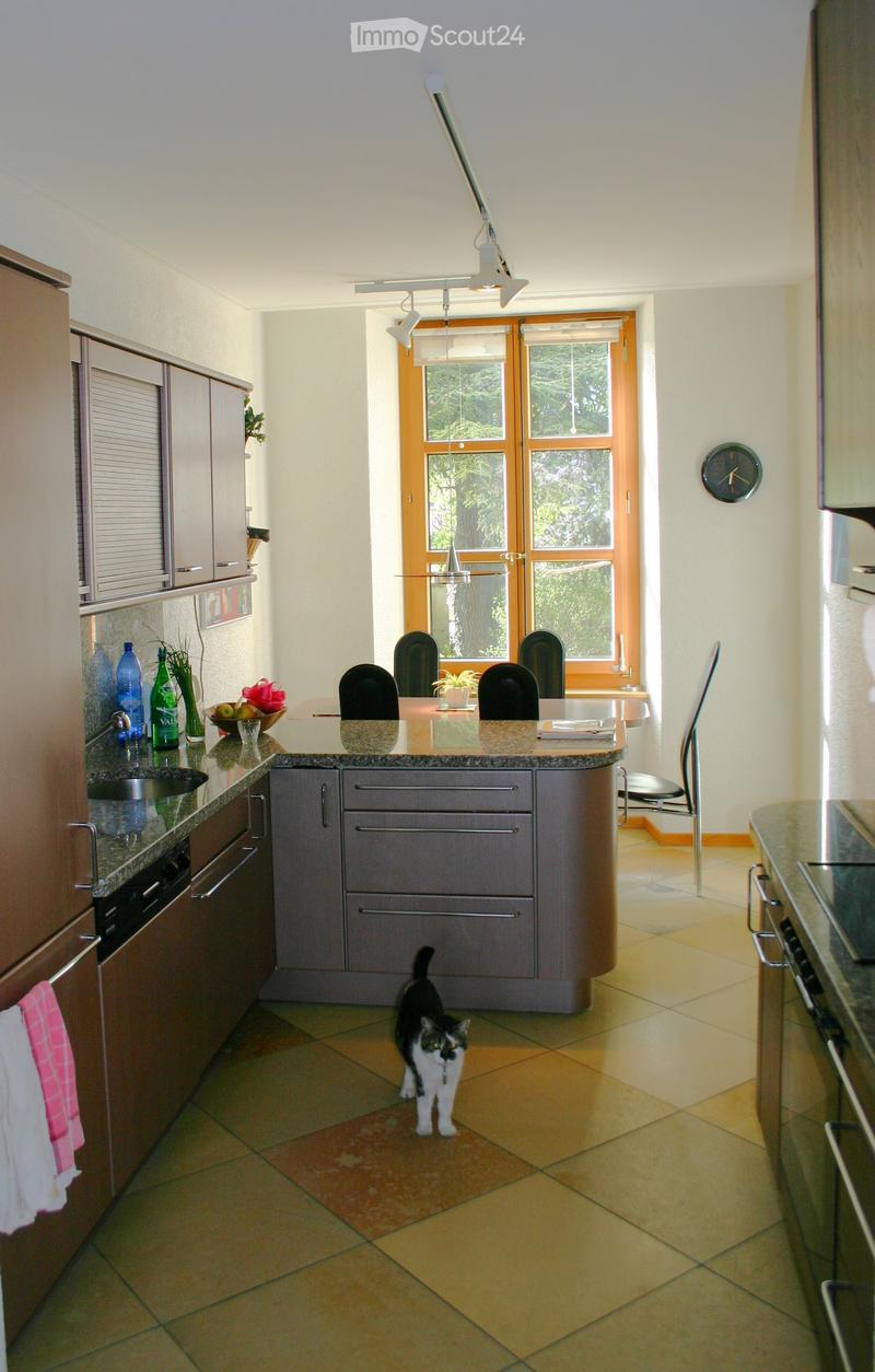 Modern kitchen with light-colored cabinets, granite countertops, and a central island. Features include a sink, oven, refrigerator, and a cat walking on the floor.
