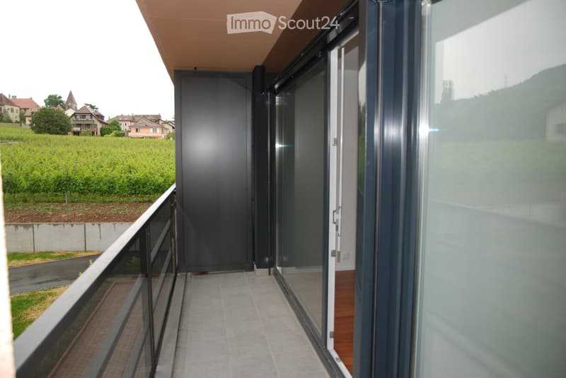 Modern balcony with large glass doors, tiled floor, and a view of a vineyard and countryside.
