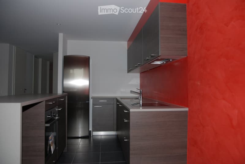 Modern kitchen with dark wooden cabinets, stainless steel appliances, and a red accent wall. Features include a refrigerator, sink with a modern faucet, and built-in oven.