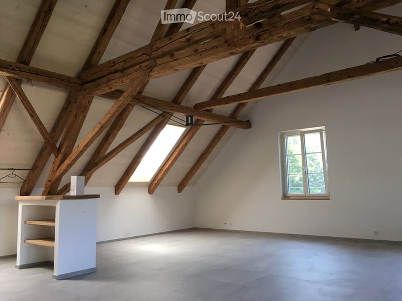 Empty attic space with exposed wooden beams, white walls, and a skylight window. A small white cabinet with shelves is visible.