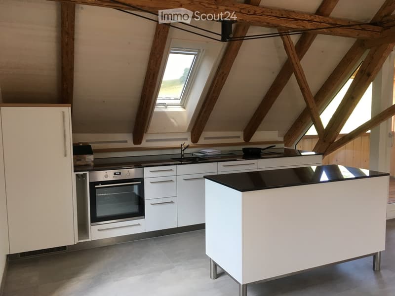 Modern kitchen with white cabinets, stainless steel oven, island, and skylight windows.