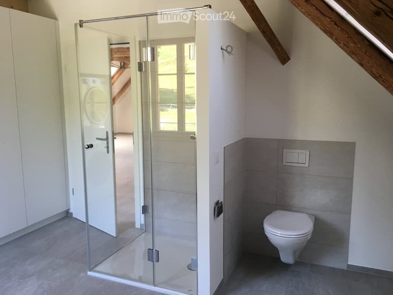 Modern bathroom with a white toilet, glass shower enclosure, and grey tiled walls.