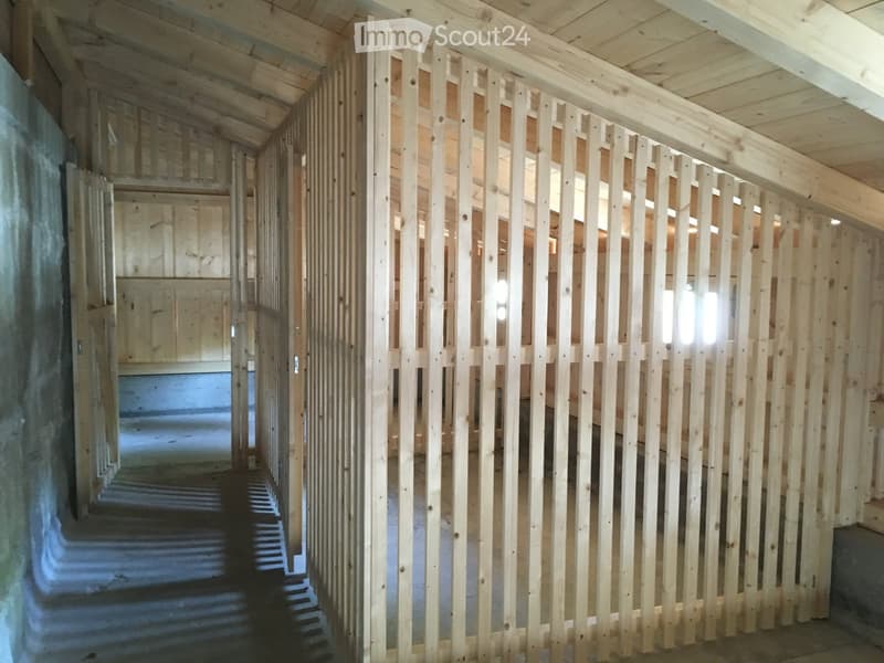 Empty wooden-framed corridor with exposed beams and a staircase leading downwards.