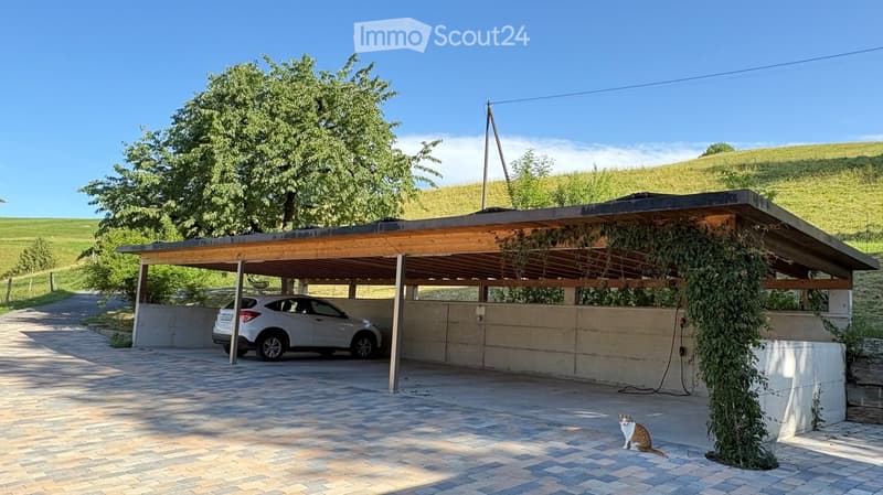 {"type": "Garage", "objects": [], "visible_features": ["Parking place"], "description": "Carport with a wooden roof and concrete walls, a parked car inside, and a cat sitting on the paved ground.", "localized_descriptions": {"EN": "Carport with a wooden r