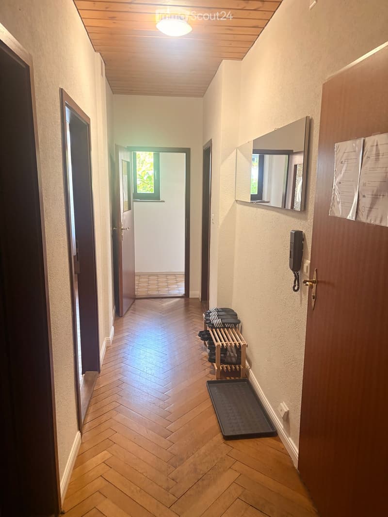 A well-lit hallway with wooden herringbone flooring, white walls, and a ceiling light fixture. Features include a shoe rack, a black mat, a mirror, and a telephone on the wall.
