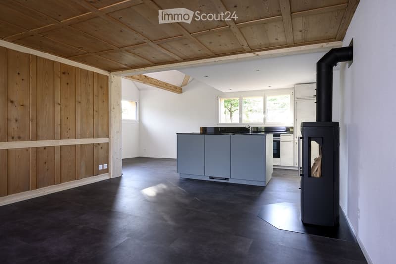 Modern kitchen with grey cabinets, black countertop, sink, faucet, oven, and wood stove. Exposed wooden beams on the ceiling and dark flooring.