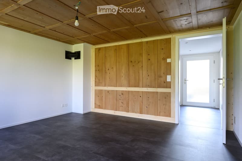 Empty room with wooden ceiling, dark flooring, white walls, and a large wooden panel on one wall. A white door with glass panels leads to another space.
