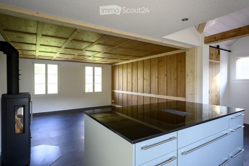 Modern kitchen with wooden walls, wooden ceiling, and a central island with a black countertop. Features a wooden stove and large windows.