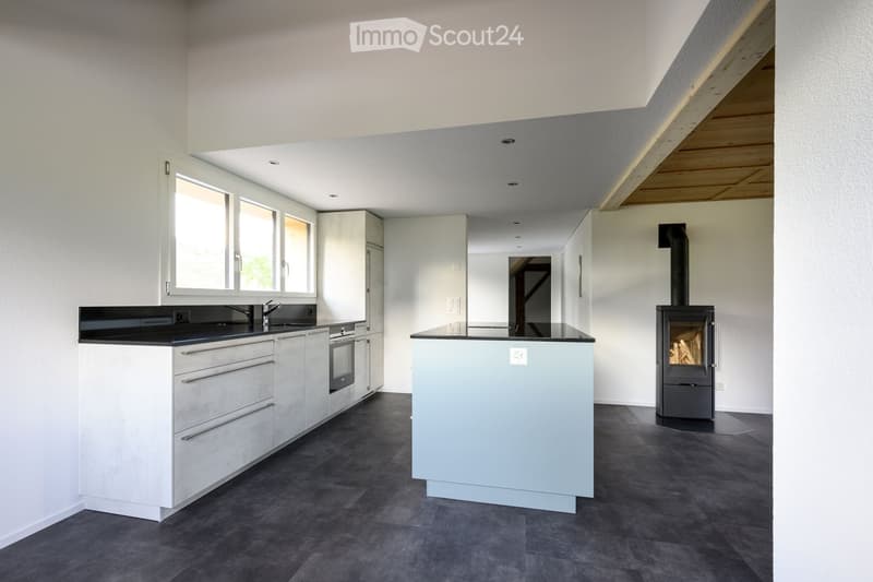 Modern kitchen with white cabinets, black countertops, a central island, and a wood stove. Features include a sink with a faucet, an oven, and large windows.