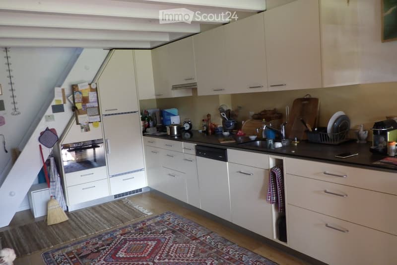 {"type": "Kitchen", "objects": ["refrigerator", "oven", "dishwasher", "sink", "faucet", "cutting board", "oven mitt", "broom", "oven mitt", "oven mitt", "oven mitt", "oven mitt", "oven mitt", "oven mitt", "oven mitt", "oven mitt", "oven mitt", "oven mitt"