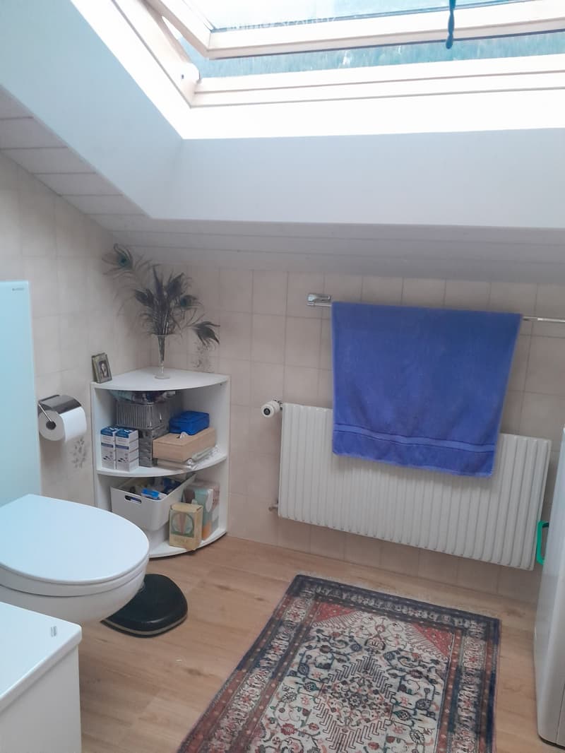 Cozy attic bathroom with wooden flooring, skylight window, radiator, toilet, shelf with various items, towel, and decorative rug.