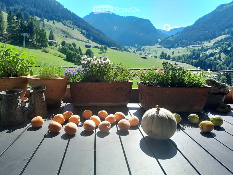 Balcony with a scenic mountain view, decorated with potted plants and a variety of fruits including apricots, a melon, and lemons.