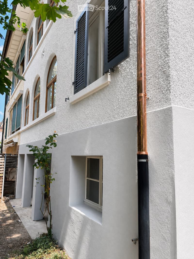 White building exterior with multiple windows, some with shutters, and a small plant near the entrance.