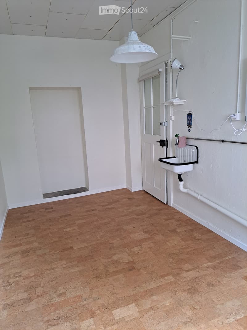 Empty room with wooden flooring, white walls, a white pendant light, a white door with a frosted glass panel, a small sink, and a radiator.
