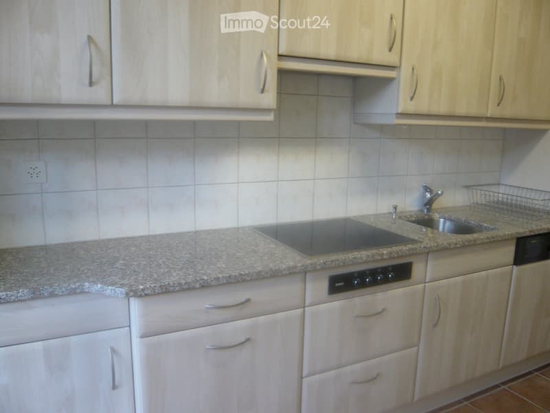 Modern kitchen with light-colored cabinets, granite countertop, induction cooktop, sink, and dishwasher.
