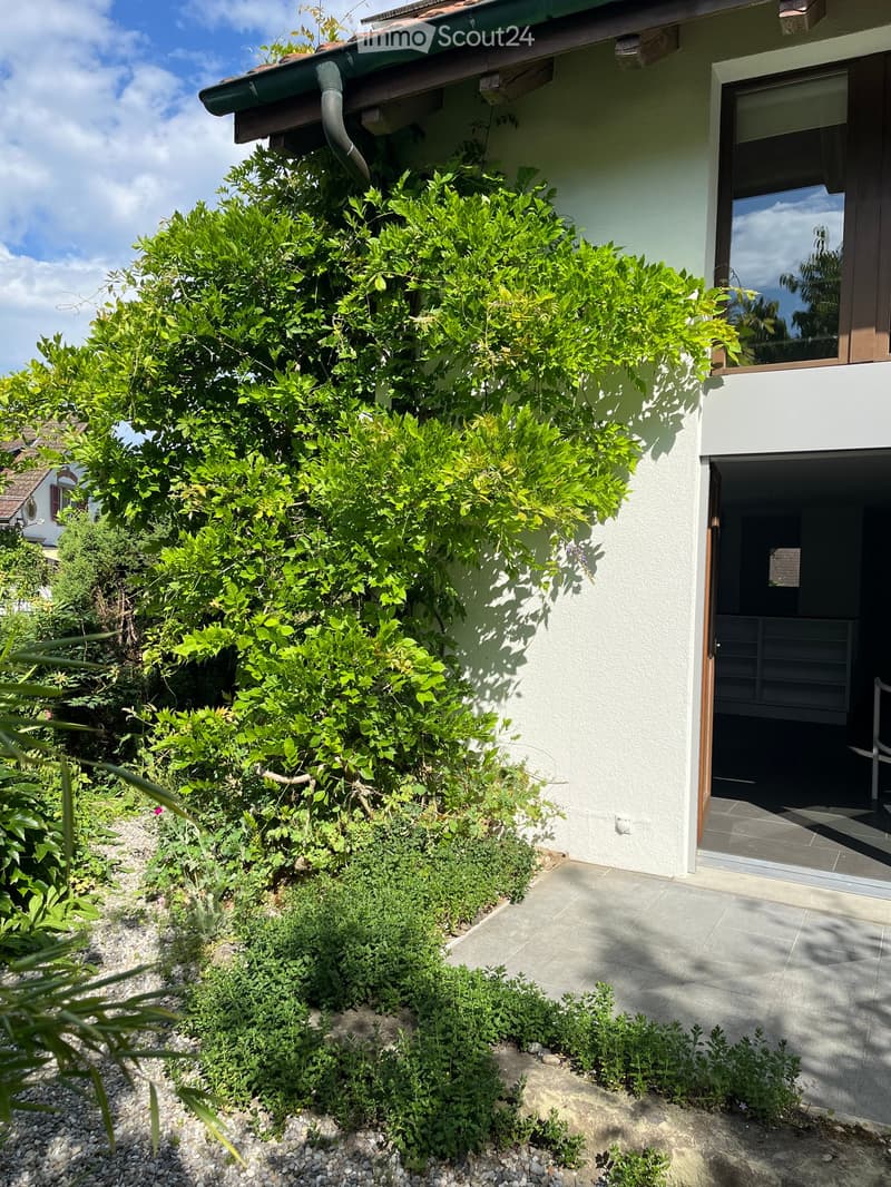 Garden area with lush green bushes and plants, a paved pathway, and a modern house entrance with large windows and a sliding door.