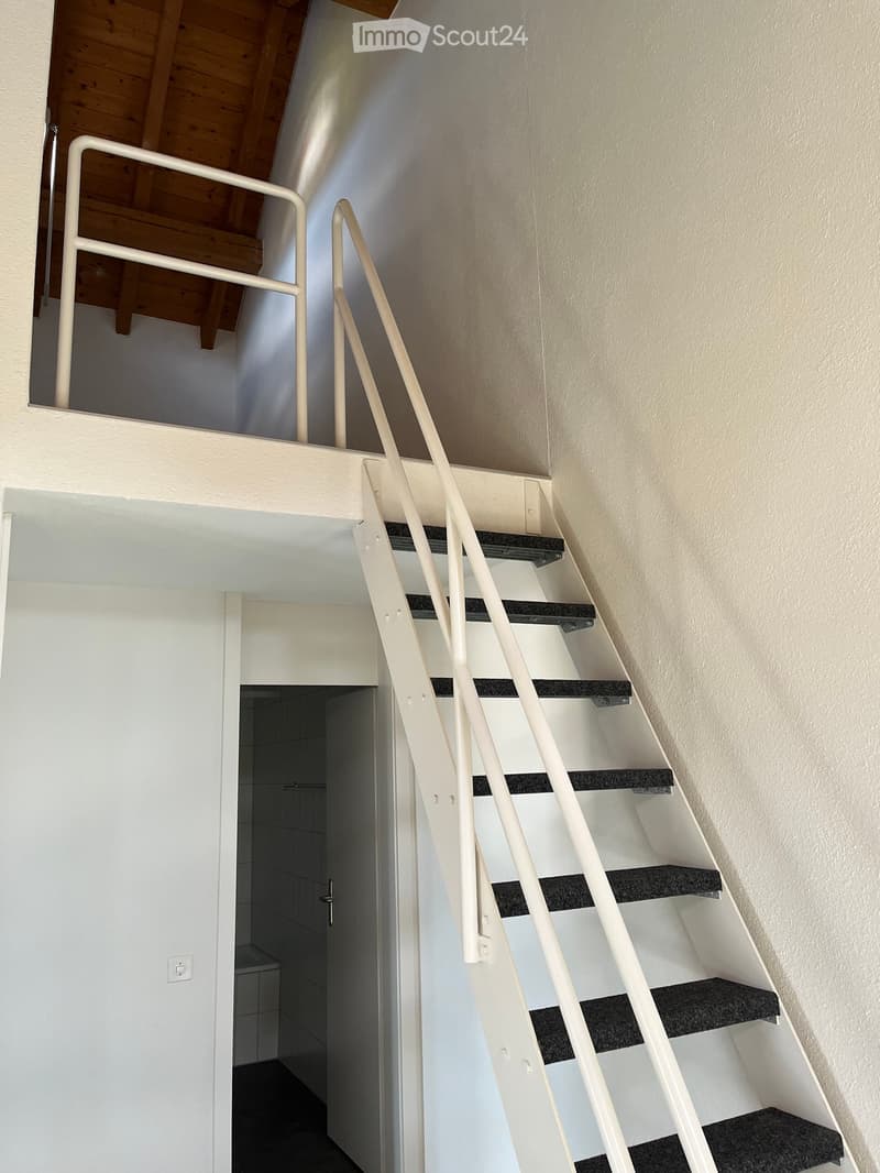 Modern staircase with white railings and black carpeted steps, leading to an open loft area with wooden beams and a visible bathroom entrance.